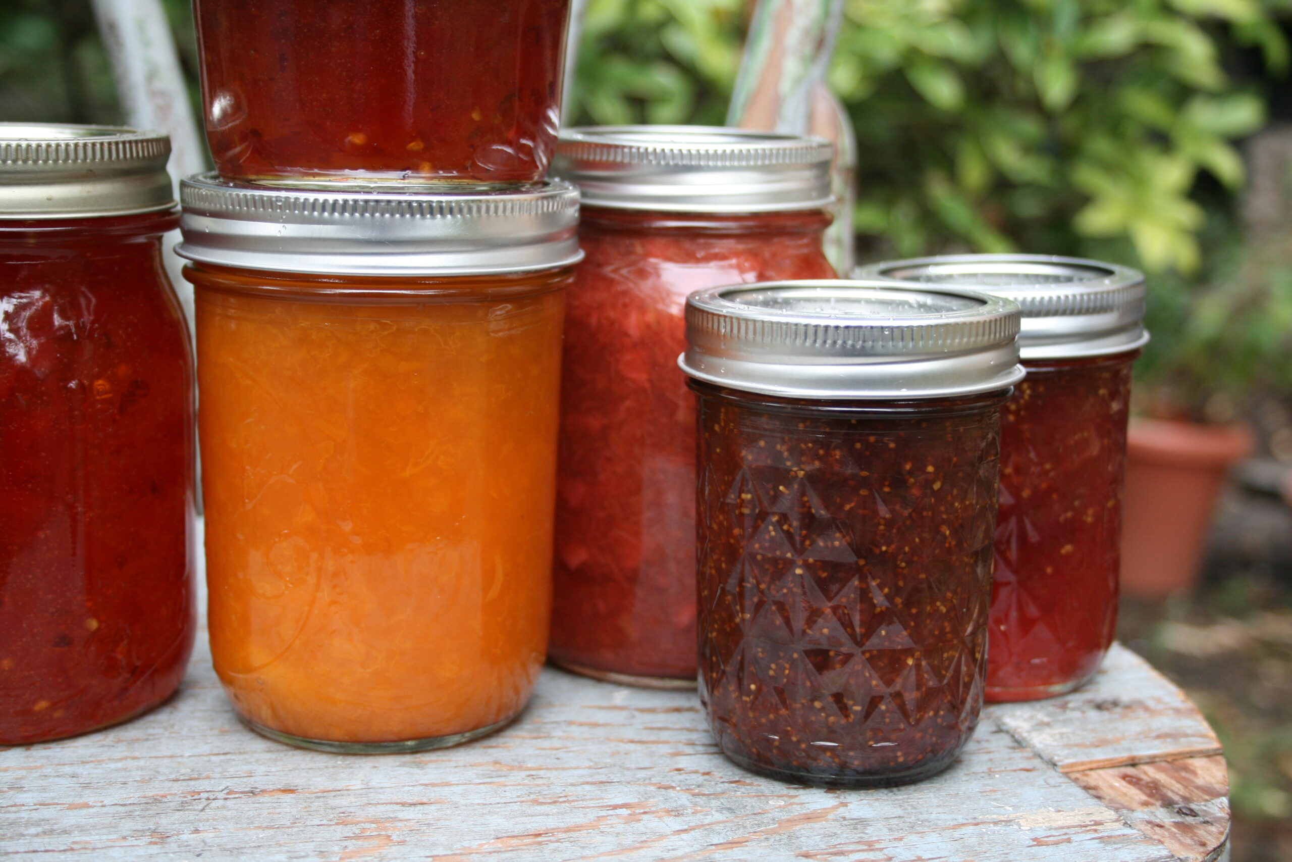 Assorted jars of homemade fruit preserves and jams in various colors, including orange, red, and dark brown, displayed on a rustic wooden surface with greenery in the background.